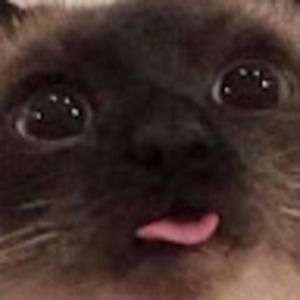 Meet your Posher, Keri